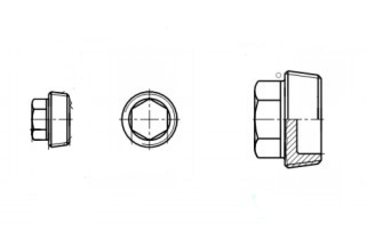 DIN 909 Заглушка різьбова конічна з шестигранною головкою з дрібним кроком