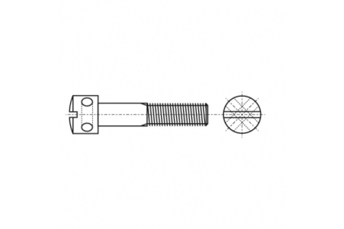DIN 404 5,8 Гвинт з циліндричною головкою і отворами