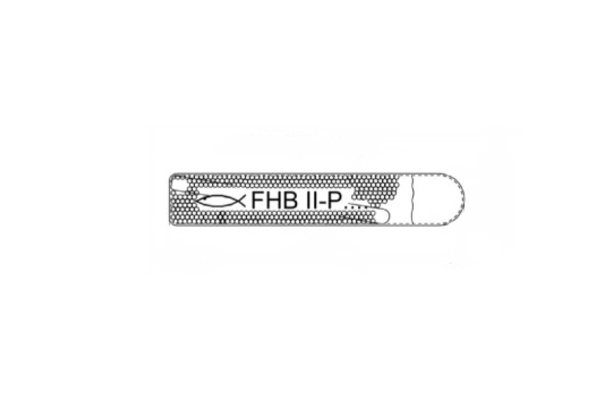 Хімічна капсула FHB II-P FISCHER